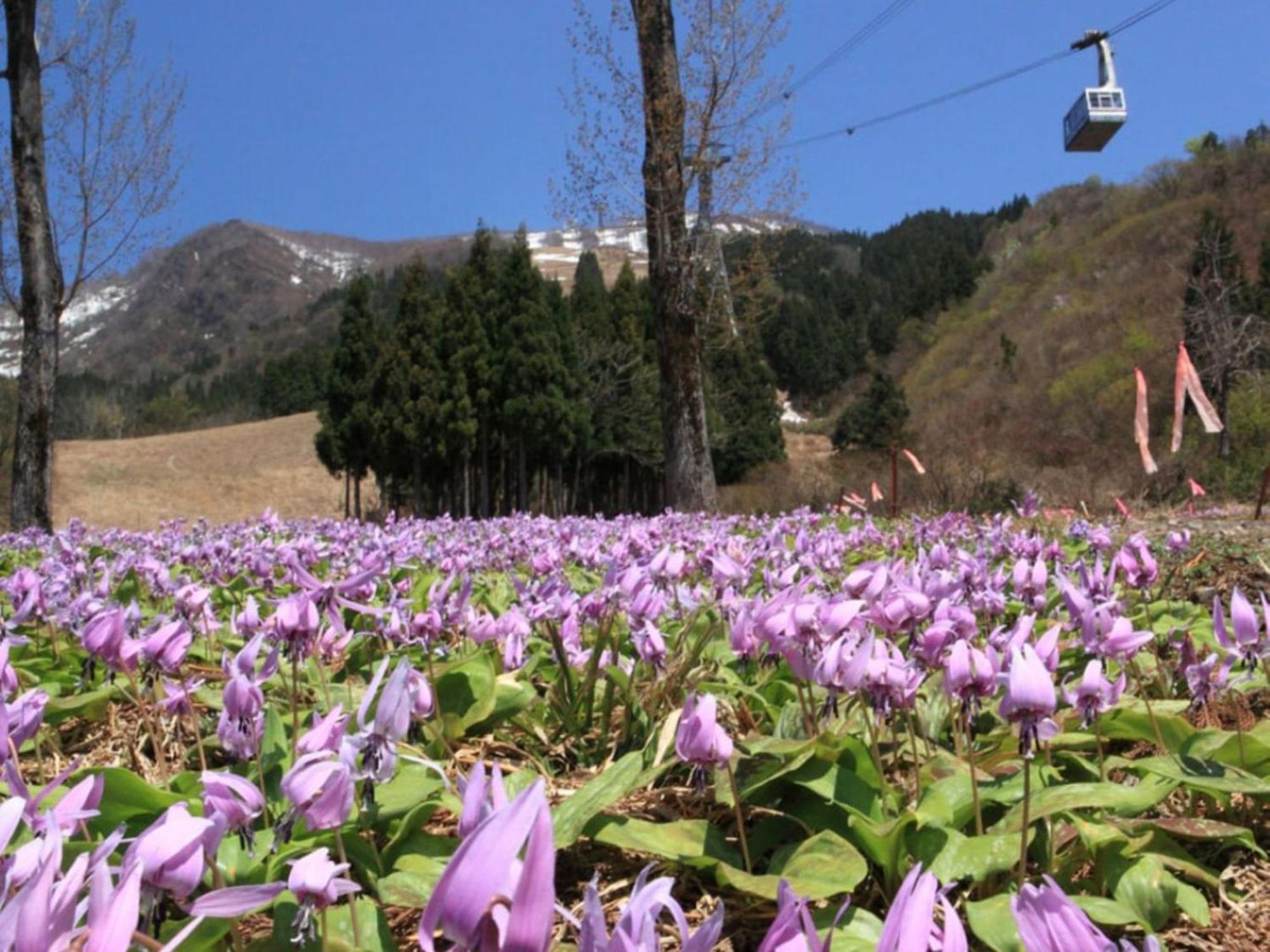 Pension Come Western-Style Room Loft- Vacation Stay 14990 Minamiuonuma Exteriér fotografie